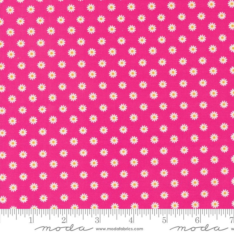 {New Arrival} Moda Cathe Holden Vintage Soul Daisy Dot Hot Pink