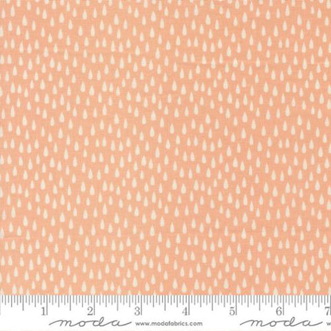 {New Arrival} Moda Stacy Iest Hsu Noah's Ark The Storm Peach