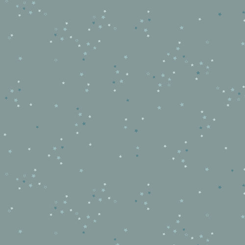 {New Arrival} Art Gallery Fabrics Adventale Twinkle Little Stars Sky