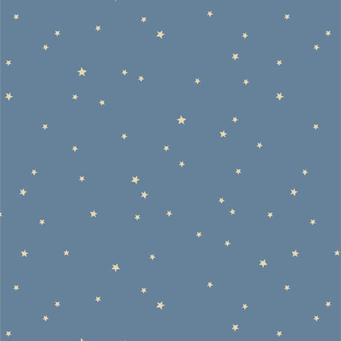 {New Arrival} Art Gallery Fabrics Coyote Hill Starry Whispers Mist