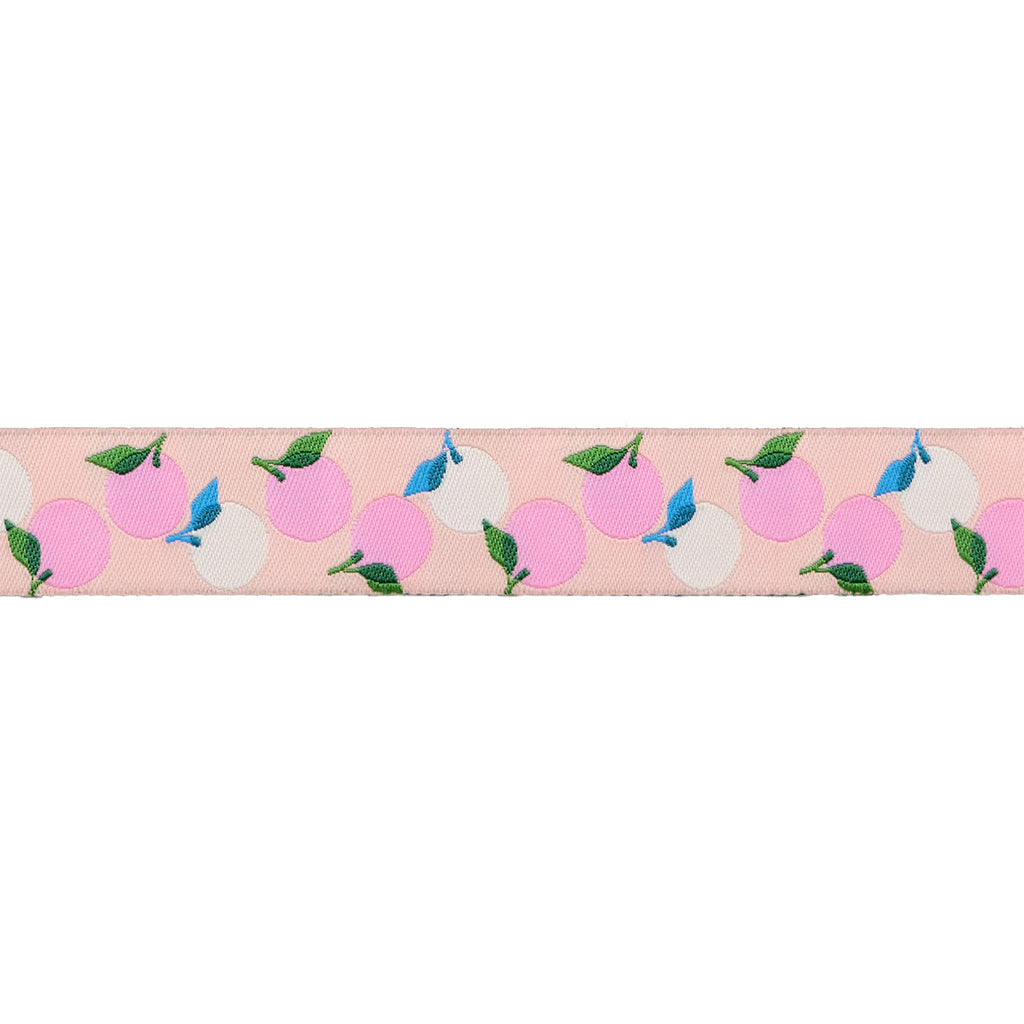 {New Arrival} Ruby Star Society Renaissance Ribbon Melody Miller Best Day Ever Oranges Peach - 7/8"