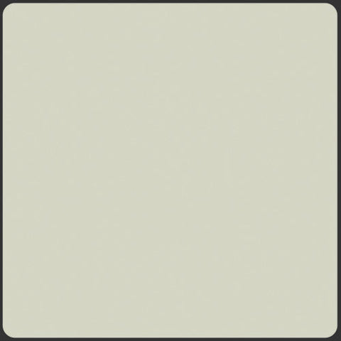 {New Arrival} Art Gallery Fabrics Pure Solids Light Grey FAT QUARTER