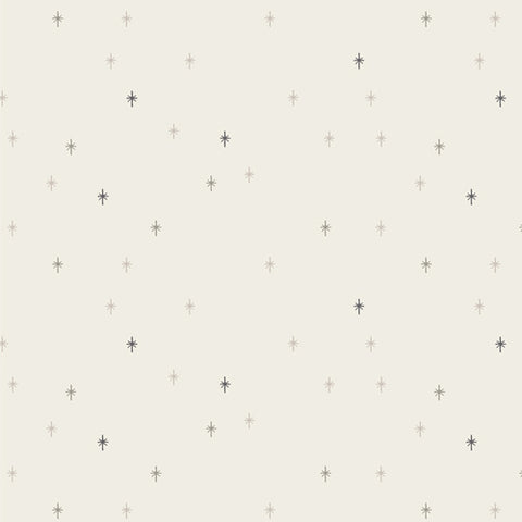 {New Arrival} Art Gallery Fabrics Sparkle Elements Ashen Sparkle