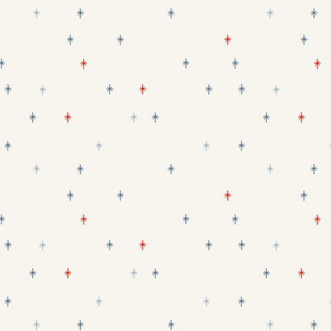 {New Arrival} Art Gallery Fabrics Sparkle Elements Americana Sparkle