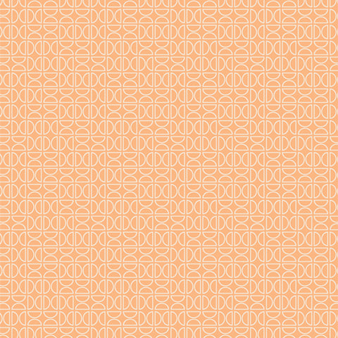 {New Arrival} Art Gallery Fabrics Tangerine Zesty Wedges Tang