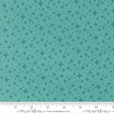 {Pre-Order May} Moda Fabrics Elizabeth Hartman Scenery Starlight Poolside