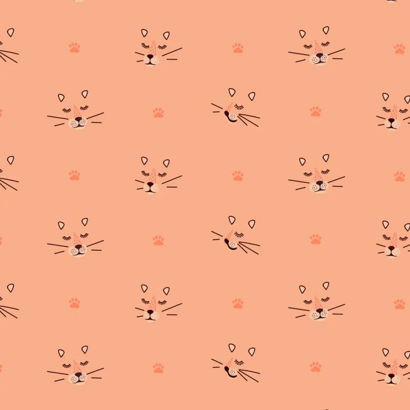 Dashwood Studios Serengeti Coral Face Prints