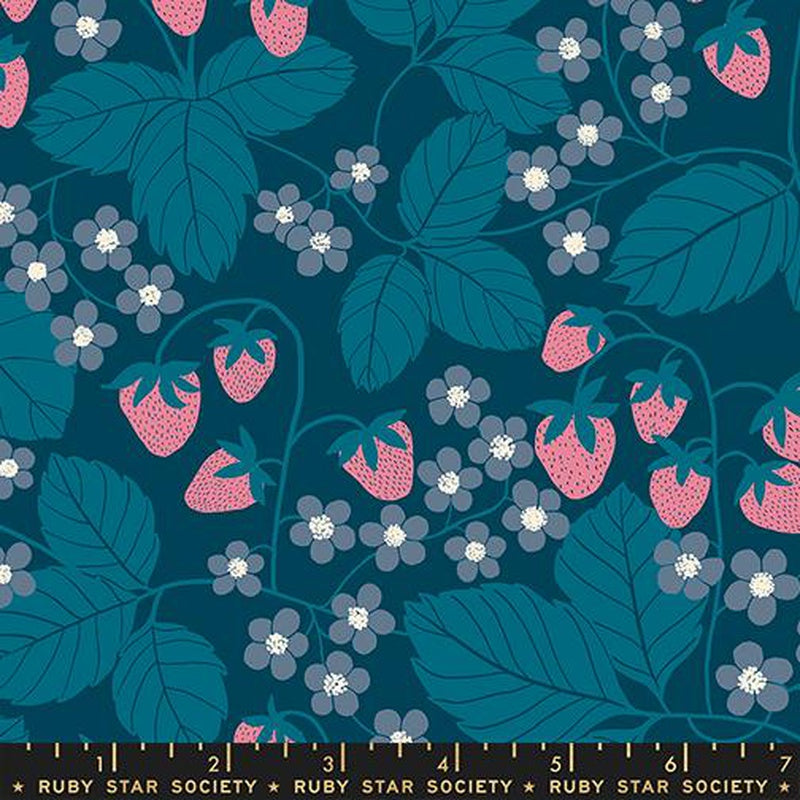 {Pre-Order October} Moda Ruby Star Society Reimagined Landscapes Strawberry Field Galaxy