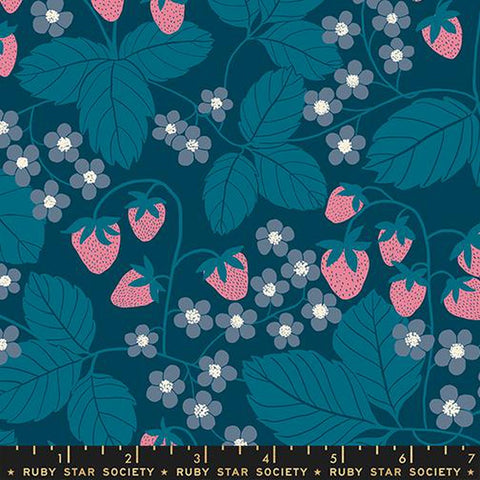 {Pre-Order October} Moda Ruby Star Society Reimagined Landscapes Strawberry Field Galaxy