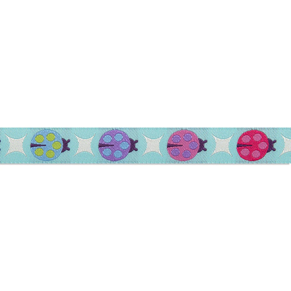 {New Arrival} Tula Pink Tiny Beasts Renaissance Ribbon Painted Ladies Aqua Glimmer-5/8"
