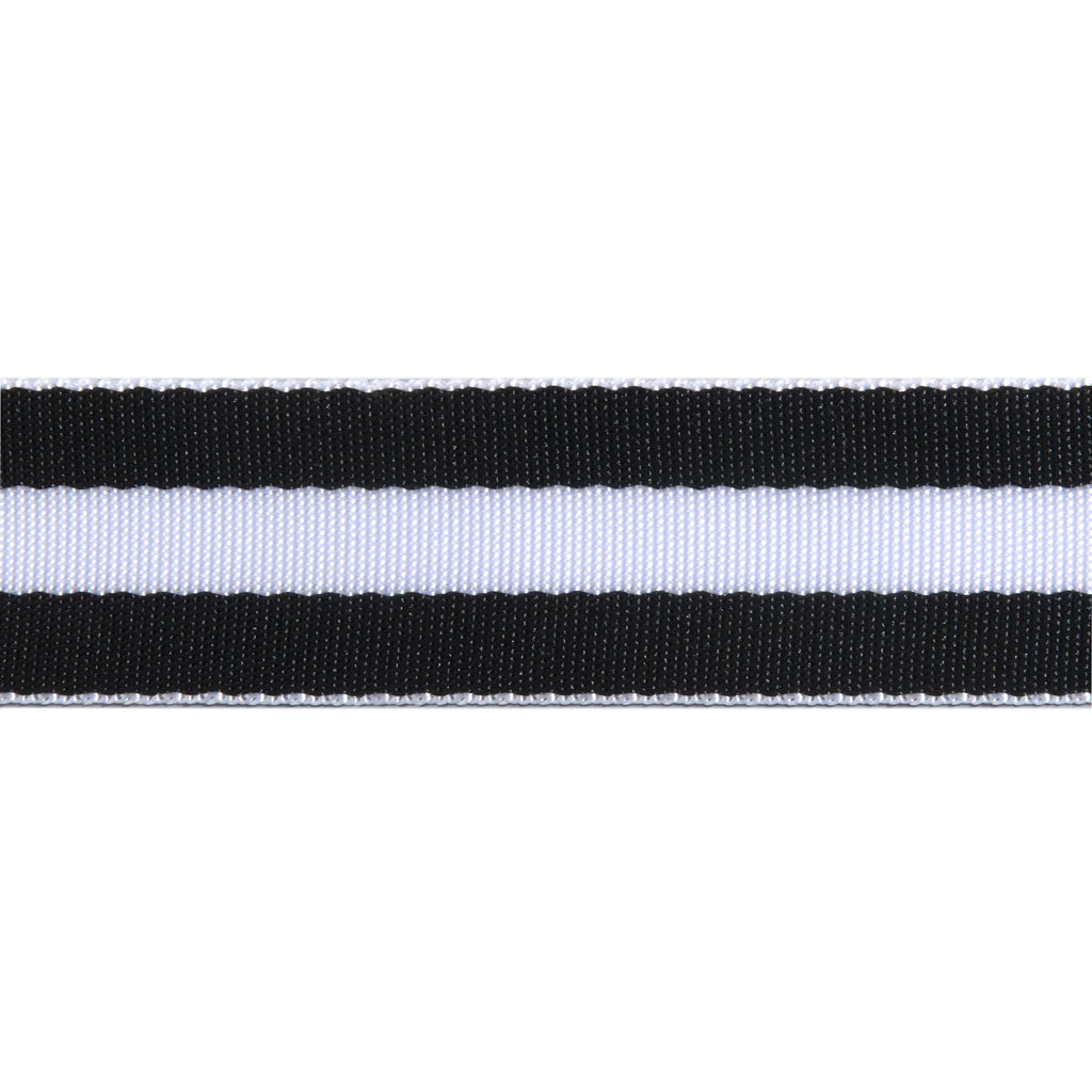 {New Arrival} Tula Pink Renaissance Ribbons Webbing 1.5" Black & White