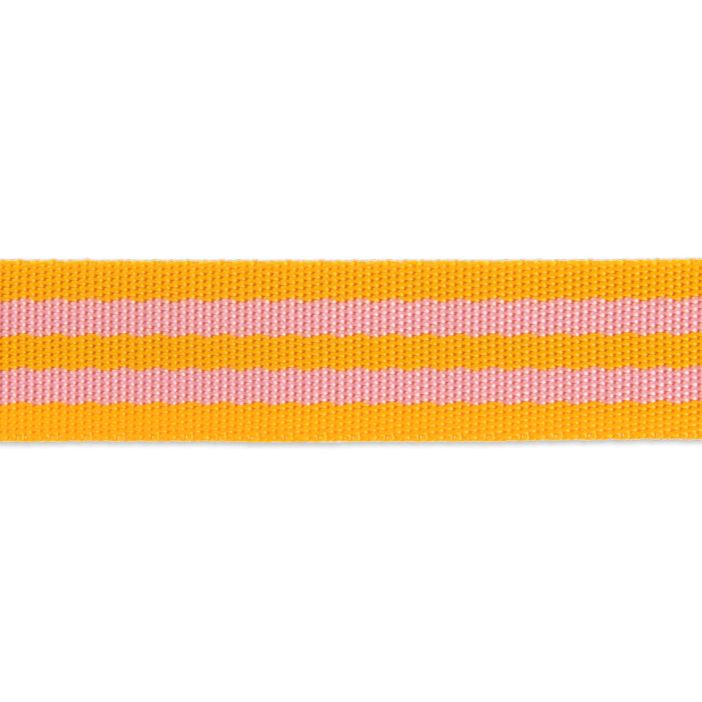 {New Arrival} Tula Pink Renaissance Ribbons Webbing 1" Pink/Orange