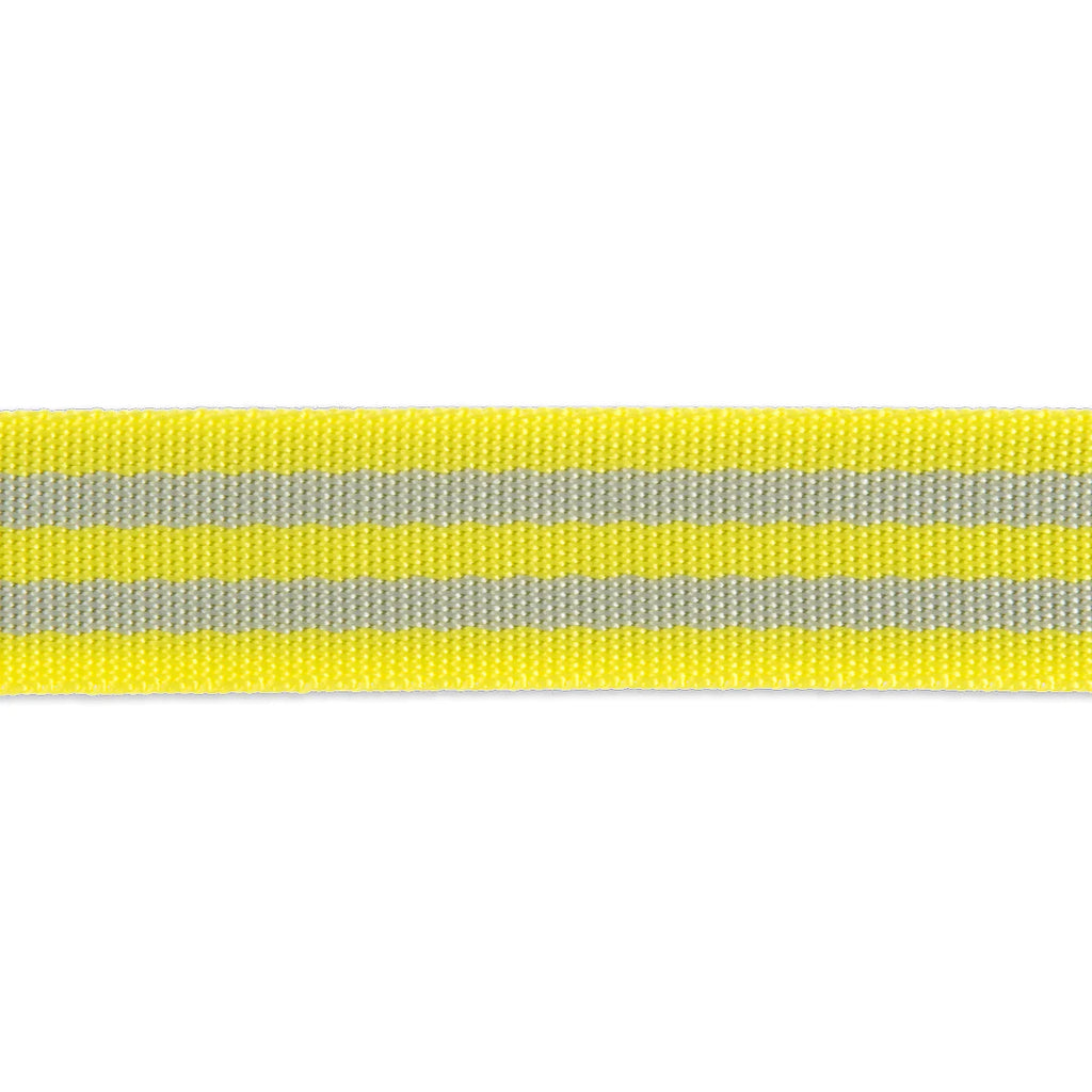 {New Arrival} Tula Pink Renaissance Ribbons Webbing 1" Grey/Neon Yellow