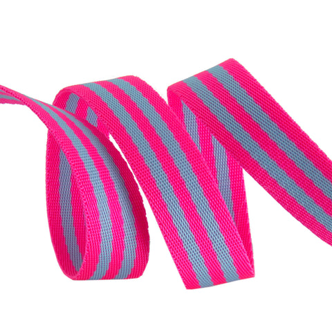 {New Arrival} Tula Pink Renaissance Ribbons Webbing 1" Aqua/Hot Pink