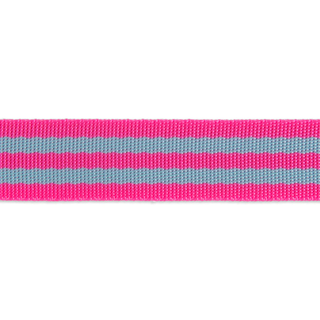 {New Arrival} Tula Pink Renaissance Ribbons Webbing 1" Aqua/Hot Pink