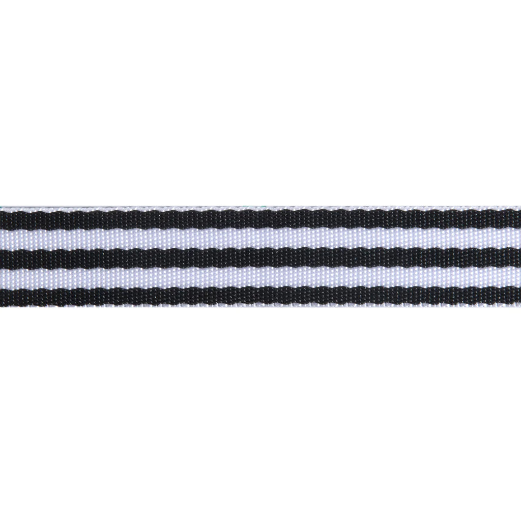 {New Arrival} Tula Pink Renaissance Ribbons Webbing 1" Black & White
