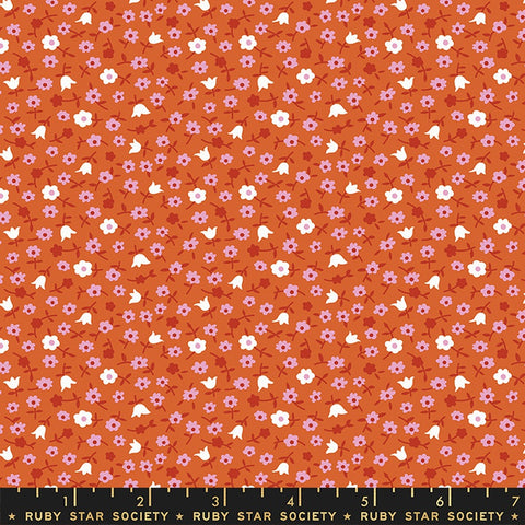 Moda Ruby Star Society Lil Catalog Calico Pecan