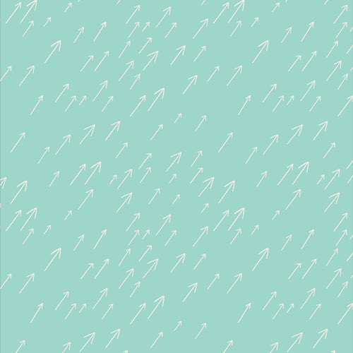 Art Gallery Fabrics Onward & Upward Forever Forward