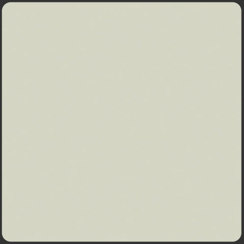 {New Arrival} Art Gallery Fabrics Pure Solids Light Grey