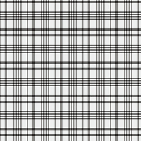 {New Arrival} Art Gallery Fabrics Storyteller Happy Plaid Coal