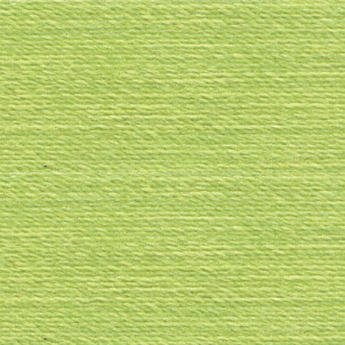 Rasant Thread Pale Spring Green 120 Colour 1098