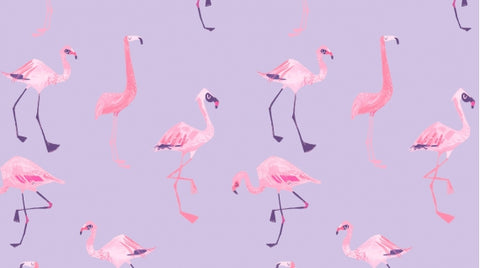 Dear Stella Pink Paradise Flamingos Viola