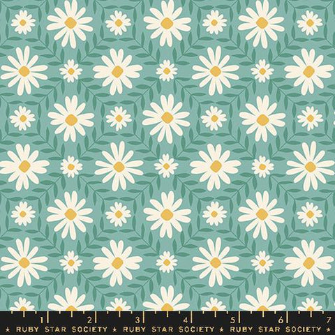 {New Arrival} Moda Ruby Star Society Endpaper Floral Endpaper Water