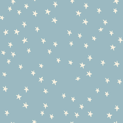 {Pre-Order August} Moda Ruby Star Society Starry 2025 Colours Soft Blue