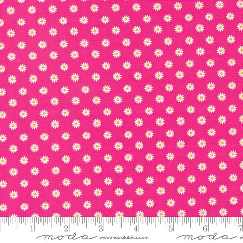 {New Arrival} Moda Cathe Holden Vintage Soul Daisy Dot Hot Pink