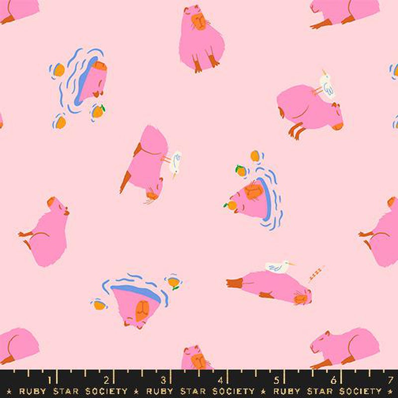 {New Arrival} Moda Ruby Star Society Animal Animal Capybara Cotton Candy