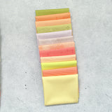 {New Arrival} Art Gallery Fabrics Cottage Grove Solids & Blenders Fat Quarter Bundle x 12 Fat Quarters