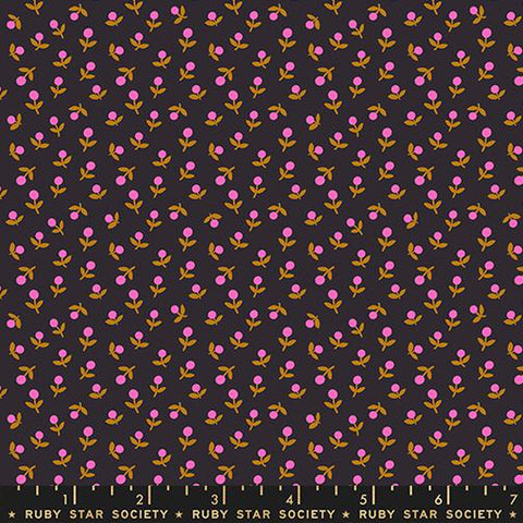 {Pre-Order October} Moda Ruby Star Society Catnap Sprout Black