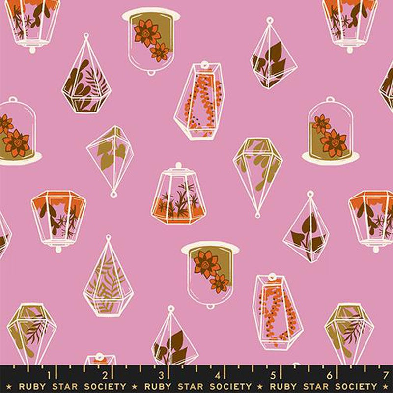 {Pre-Order December} Moda Ruby Star Society Calathea Terrarium  Kiss