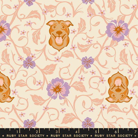{New Arrival} Moda Ruby Star Society Dog Park Pitbull Shell