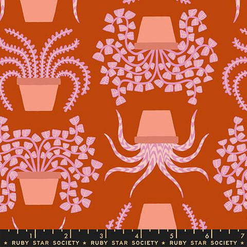 {Pre-Order December} Moda Ruby Star Society Calathea Planties Cayenne