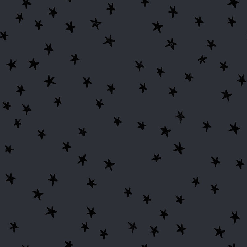 {Pre-Order August} Moda Ruby Star Society Starry 2025 Colours Charcoal