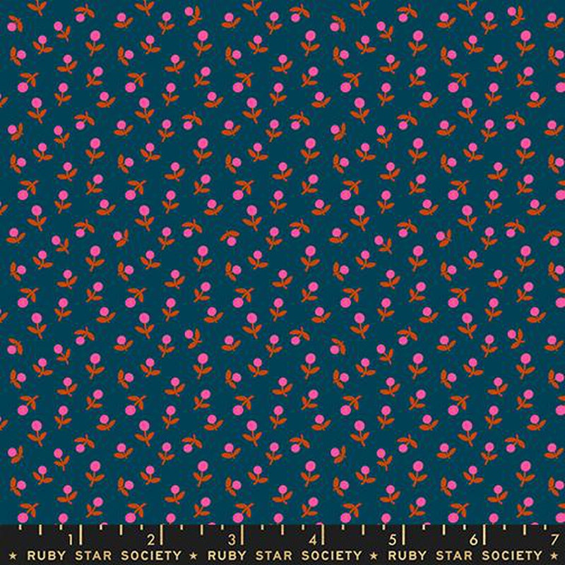 {Pre-Order October} Moda Ruby Star Society 1-800 Calico Sprout Galaxy