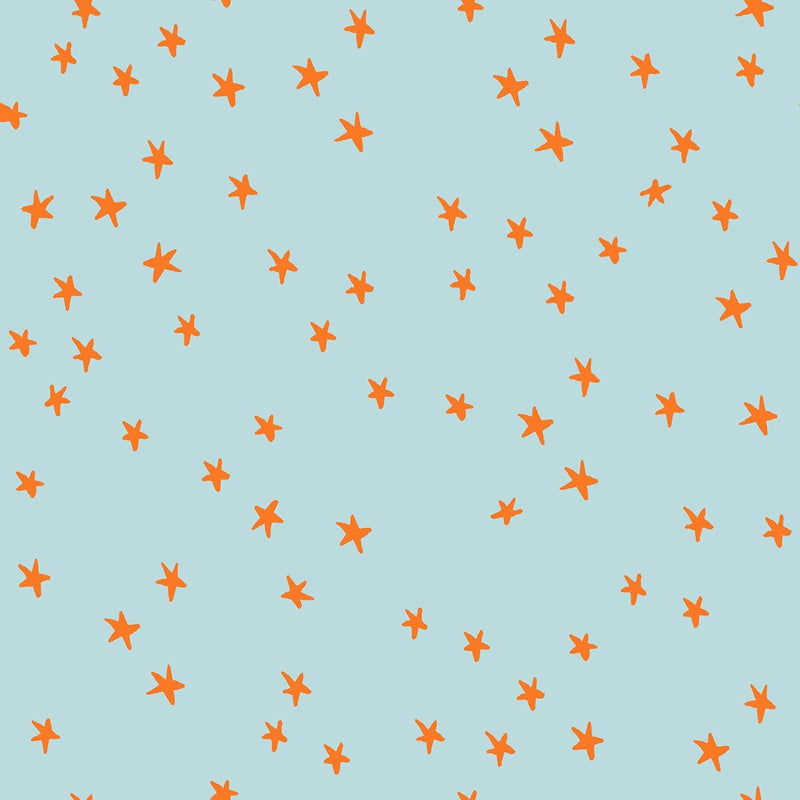{Pre-Order August} Moda Ruby Star Society Starry 2025 Colours Polar