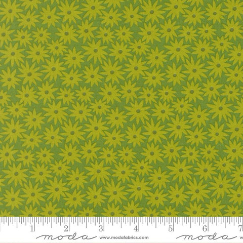 {Pre-Order May} Moda Fabrics Elizabeth Hartman Scenery Sedum Floral Limeade