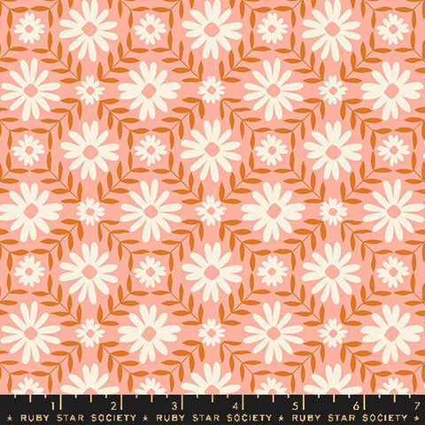 {New Arrival} Moda Ruby Star Society Endpaper Floral Endpaper Bashful