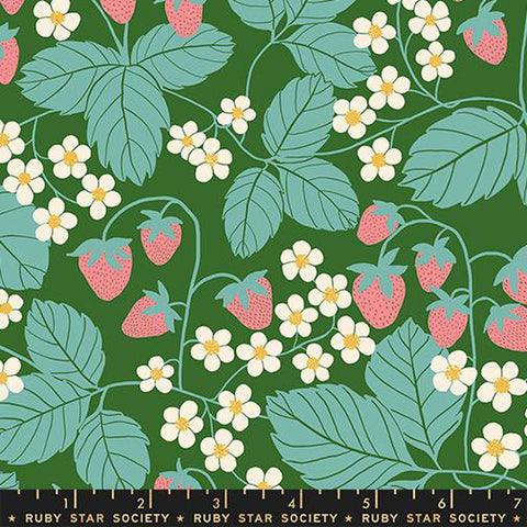 {Pre-Order October} Moda Ruby Star Society Reimagined Landscapes Strawberry Field Endpaper Green
