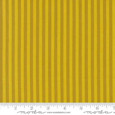{Pre-Order November} Moda Fabrics Elizabeth Hartman Popcorn Stripes Citrine