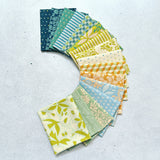 {New Arrival} Art Gallery Fabrics Evolve Fat Quarter Bundle x 16 Fat Quarters