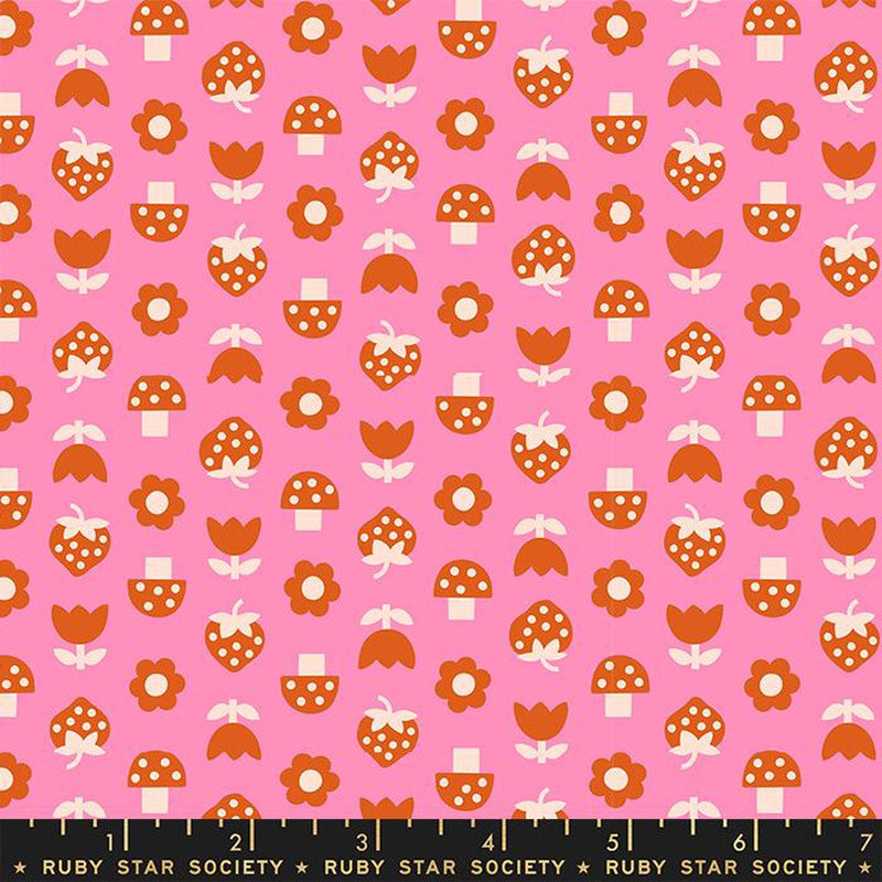 {New Arrival} Moda Ruby Star Society Picture Book Strawbitties Flamingo