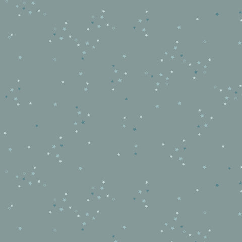 {Pre-Order Late June} Art Gallery Fabrics Adventale Twinkle Little Stars Sky