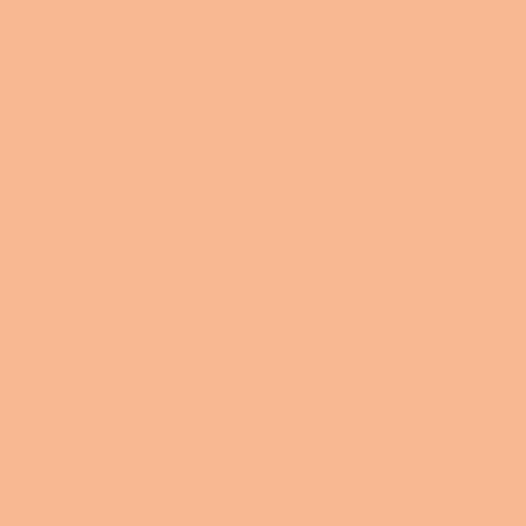 {New Arrival} Art Gallery Fabrics Signature Pure Solids Shrimpy FAT QUARTER