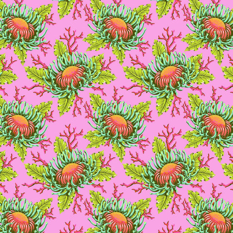 {Pre-Order April} FreeSpirit Tula Pink Floral Reef - Friends & Anemones Coralline