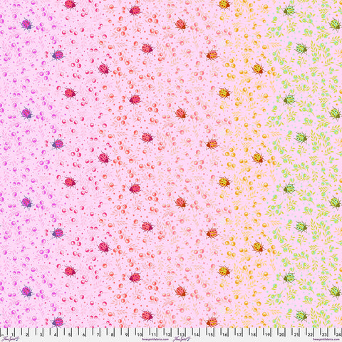 {Pre-Order March} FreeSpirit Tula Pink Down To Earth Spot On - Afterglow
