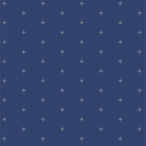 {Pre-Order Aug/Sept} Art Gallery Fabrics Starling Shining Stardusk