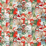 {New Arrival} Clothworks Santa Paws Digital Posing Multi
